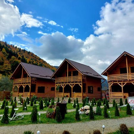 Вилла Aroa Mountain Зэрнешти Экстерьер фото