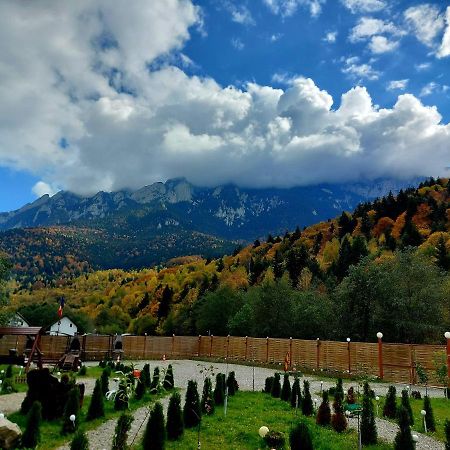 Вилла Aroa Mountain Зэрнешти Экстерьер фото