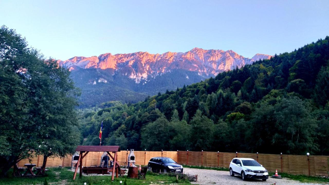 Вилла Aroa Mountain Зэрнешти Экстерьер фото