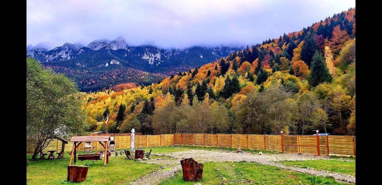 Вилла Aroa Mountain Зэрнешти Экстерьер фото