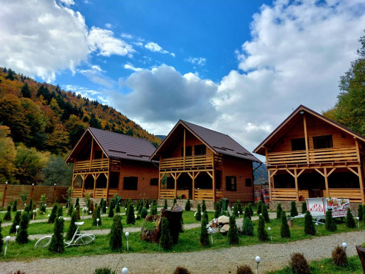Вилла Aroa Mountain Зэрнешти Экстерьер фото